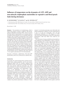 Influence of temperature on the dynamics of ATP, ADP and non