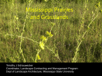 Mississippi Prairies and Grasslands - blackland prairies of northeast