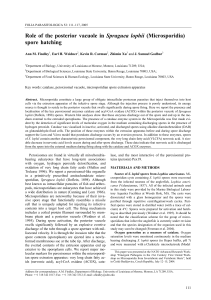 Role of the posterior vacuole in Spraguea lophii (Microsporidia