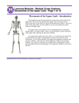 Medical Gross Anatomy Movements of the Upper Limb