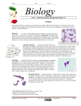 3-5 Protists