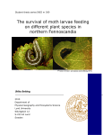 The survival of moth larvae feeding on different plant species in