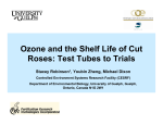 Ozone and the Shelf Life of Cut Roses: Test