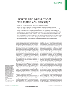 Phantom limb pain: a case of maladaptive CNS plasticity?