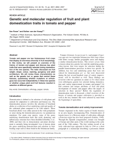 Genetic and molecular regulation of fruit and plant domestication