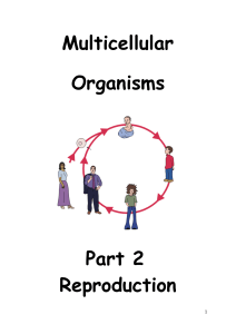 Multicellular Organisms Part 2 Reproduction