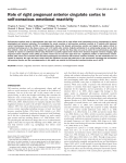 Role of right pregenual anterior cingulate cortex in self