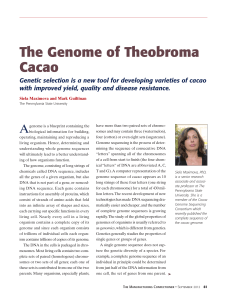 The Genome of Theobroma Cacao