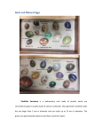Rock and Mineral Eggs - University of Waterloo