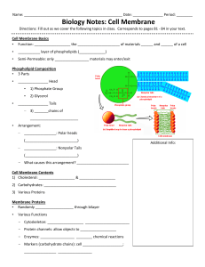 Biology Notes: Cell Membrane
