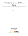 Cell Division and the Cell Cycle