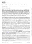 Increased Survival of Antibiotic-Resistant Escherichia coli