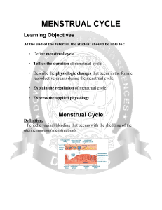 MENSTRUAL CYCLE