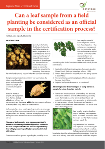 Can a leaf sample from a field planting be considered as an official