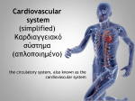 Cardiovascular system