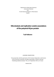 Microtubule and replication vesicle associations of the potyviral