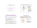 anatomy of the immune system passive immunity