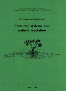 Plant root systems and natural vegetation