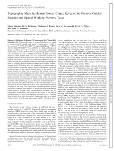 Topographic Maps in Human Frontal Cortex Revealed in Memory