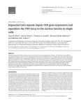 Expanded GAA repeats impair FXN gene expression and reposition