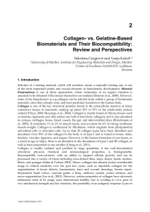 Collagen- vs. Gelatine-Based Biomaterials and Their