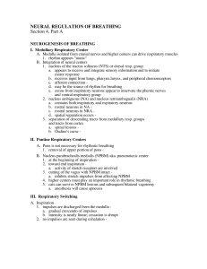 NEURAL REGULATION OF BREATHING Section 4, Part A