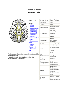 Cranial Nerves: Review Info