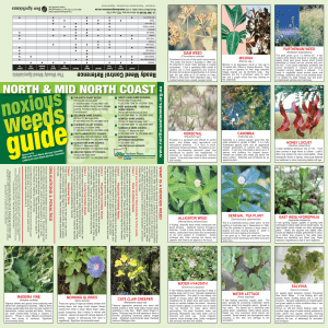 Mid North Coast Noxious Weeds Guide