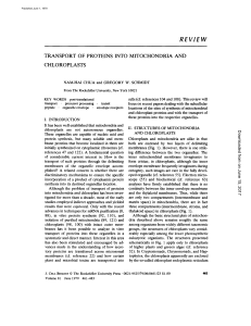 REVIEW - The Journal of Cell Biology