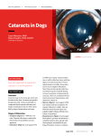 Cataracts in Dogs - Clinician`s Brief