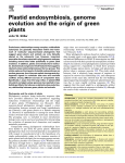 Plastid endosymbiosis, genome evolution and the origin of green