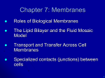 Biol 1020: Membranes