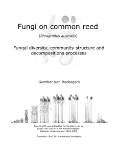 Fungi on common reed - Ghent University Library