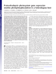 Proteorhodopsin photosystem gene expression enables