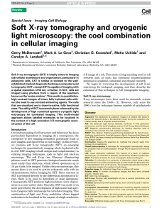Soft X-ray tomography and cryogenic light microscopy - X
