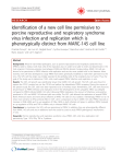 Identification of a new cell line permissive to porcine reproductive