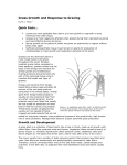 Grass Growth and Response to Grazing