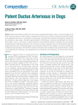 Patent Ductus Arteriosus in Dogs
