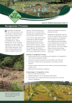 Revegetation Principles