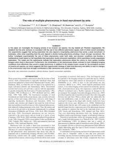 The role of multiple pheromones in food recruitment by ants