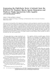 Expressing the Diphtheria Toxin A Subunit from