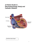 A Patient Guide To Electrophysiology Study And Catheter Ablation