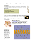 Nature`s origami: protein folding mistakes and diseases