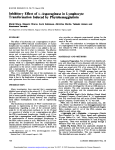 Inhibitory Effect of L-Asparaginase in