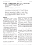 Mechanism for linear and nonlinear optical effects in SrBe3O4 crystal