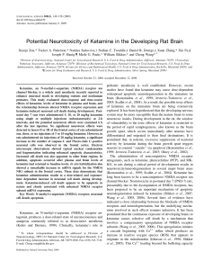 Potential Neurotoxicity of Ketamine in the