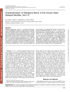 Characterization of Nifedipine Block of the Human Heart Delayed
