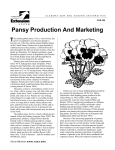 Pansy Production And Marketing - Alabama Cooperative Extension