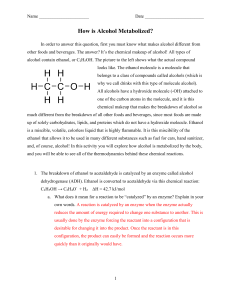 How is Alcohol Metabolized?