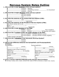 Nervous System Notes Outline